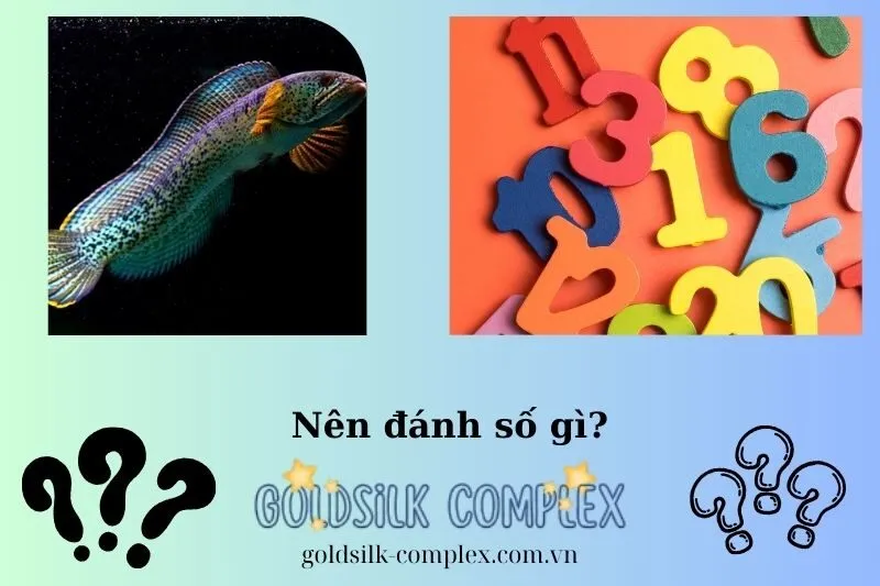 Các con số liên quan đến giấc mơ thấy cá lóc