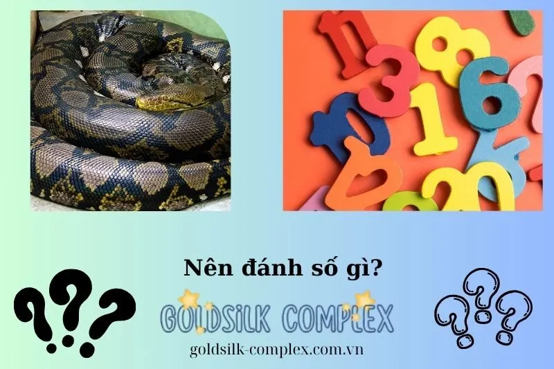 Các Con Số May Mắn Khi Mơ Thấy Trăn