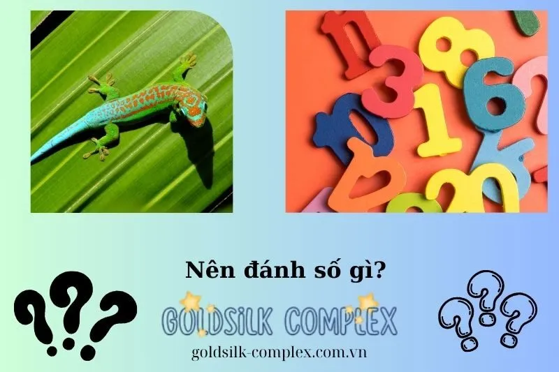 Các con số may mắn khi nằm mơ thấy tắc kè