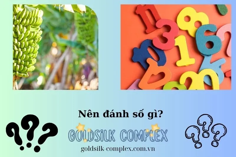 Các Con Số May Mắn Liên Quan Đến Giấc Mơ Thấy Chuối