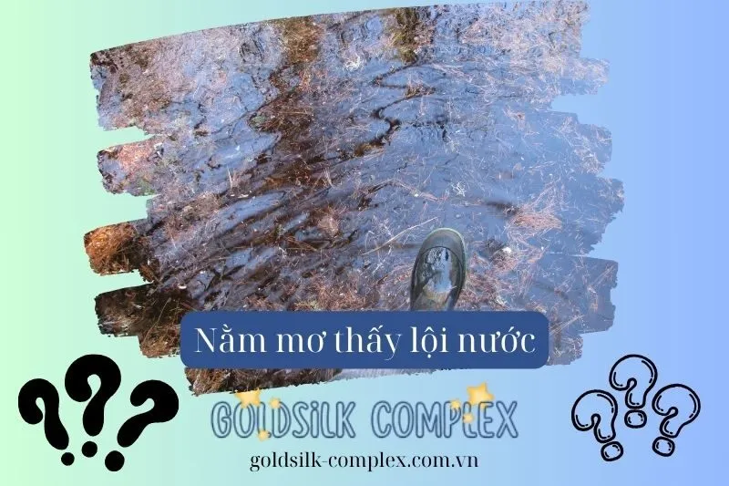 Các điềm báo cụ thể khi mơ thấy lội trong nước