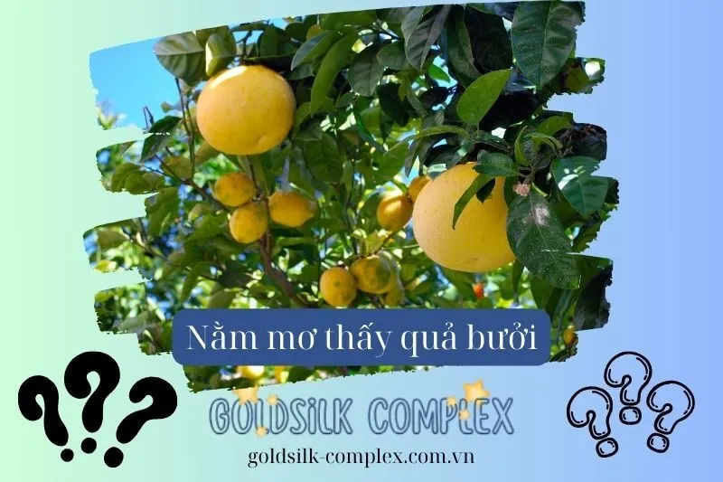 Các Loại Giấc Mơ Khác Về Quả Bưởi Và Ý Nghĩa