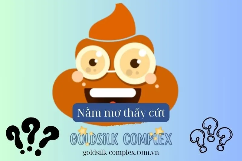 Các tình huống phổ biến khi nằm mơ thấy cứt và điềm báo tương ứng