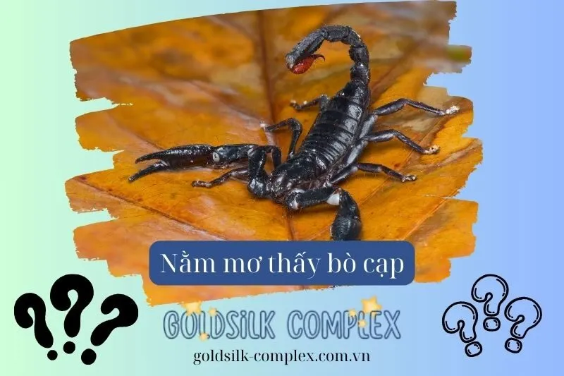 Các tình huống thường gặp khi nằm mơ thấy bò cạp và ý nghĩa cụ thể