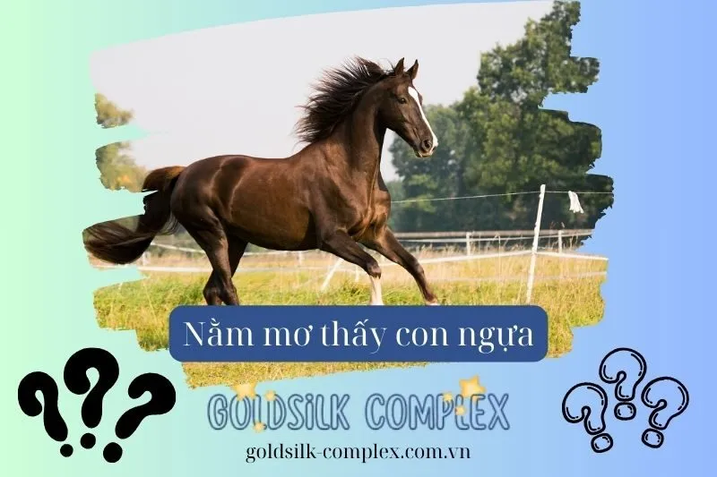 Cách áp dụng ý nghĩa giấc mơ thấy ngựa vào cuộc sống hàng ngày