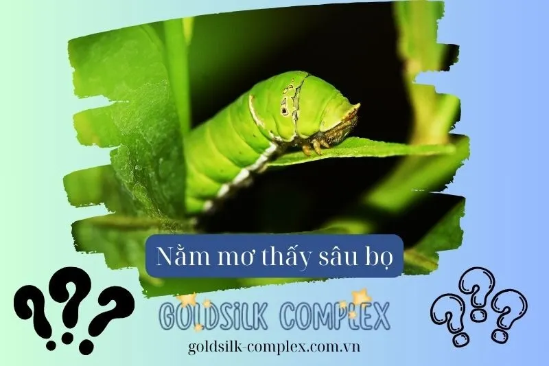 Cách đối phó và chuyển hóa các điềm báo từ giấc mơ thấy sâu bọ