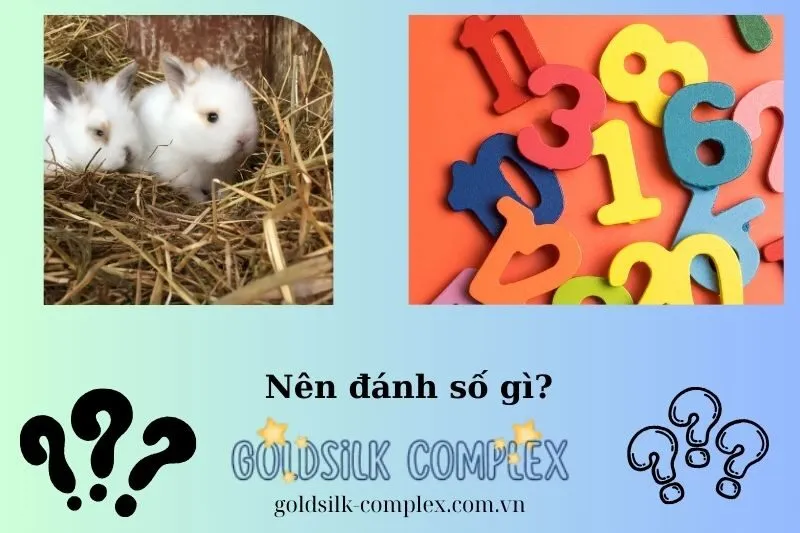 Con Số May Mắn Khi Mơ Thấy Thỏ