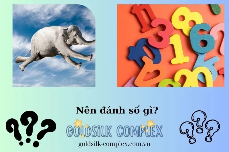 Con số may mắn khi mơ thấy voi