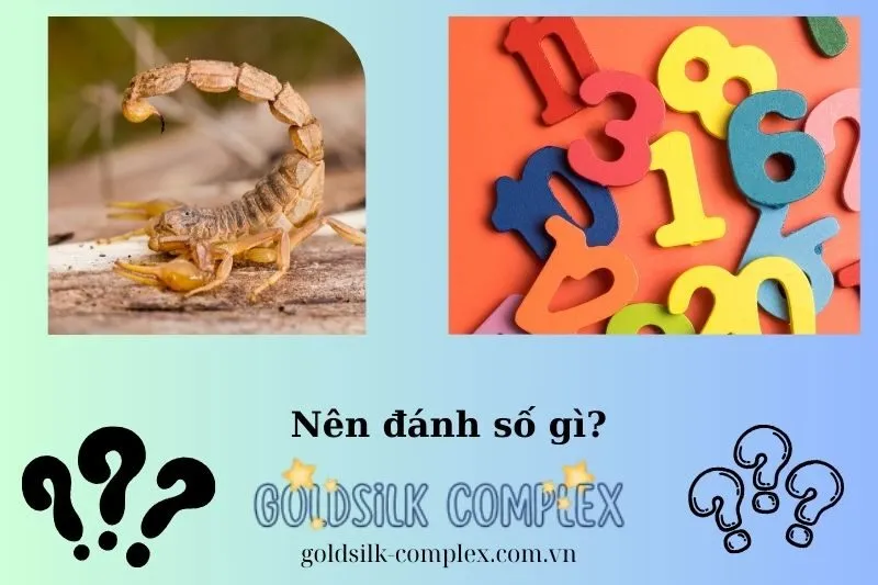 Con số may mắn khi nằm mơ thấy bò cạp