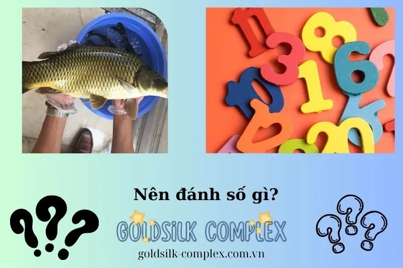 Con số may mắn khi nằm mơ thấy cá chép