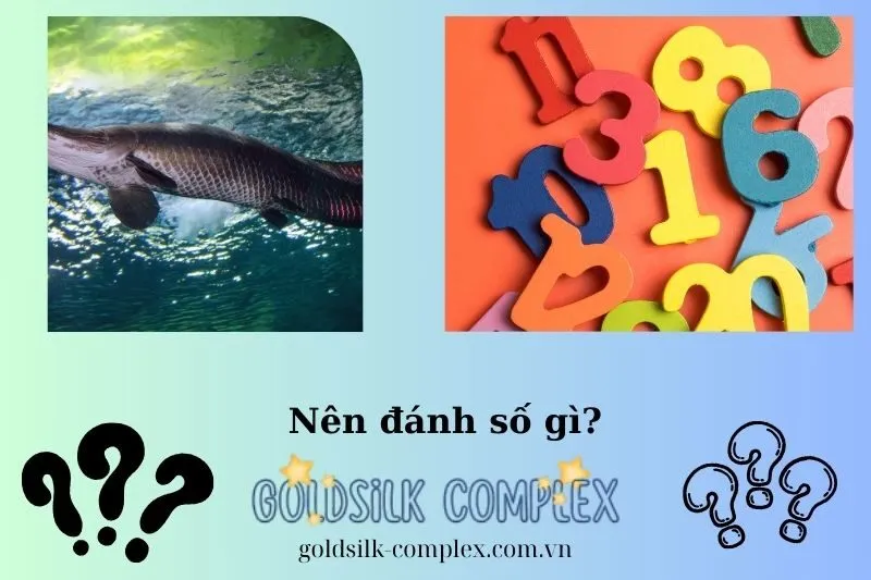 Con Số May Mắn Khi Nằm Mơ Thấy Cá Hải Tượng