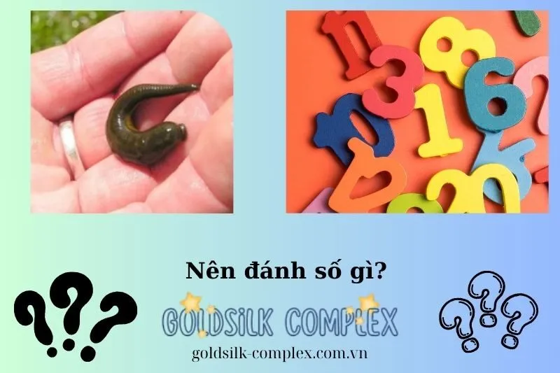 con số may mắn khi nằm mơ thấy đỉa