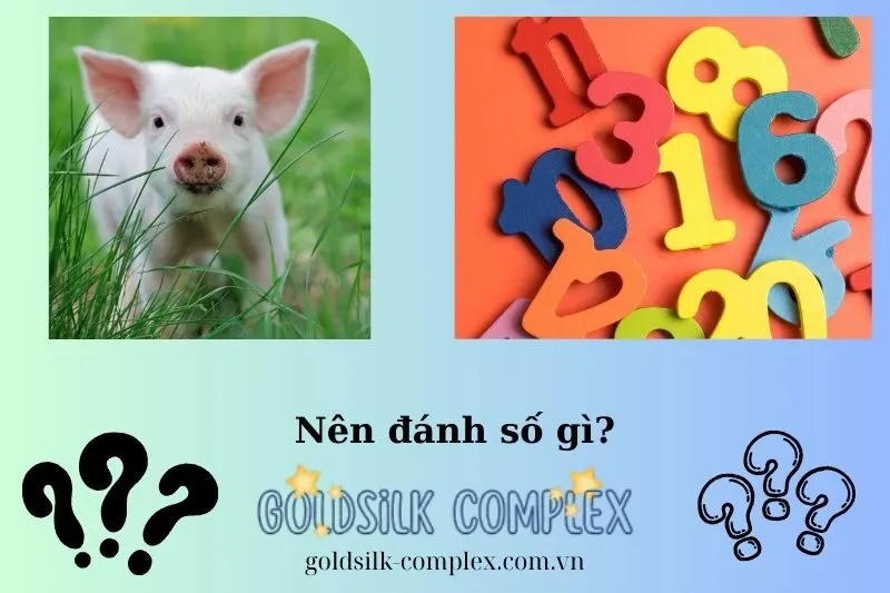 con số may mắn khi nằm mơ thấy heo