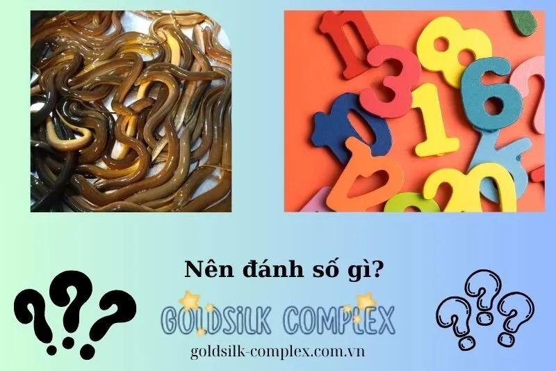 Con số may mắn khi nằm mơ thấy lươn