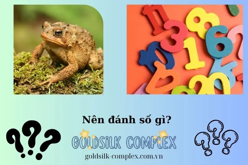 Con số may mắn liên quan đến giấc mơ thấy con cóc