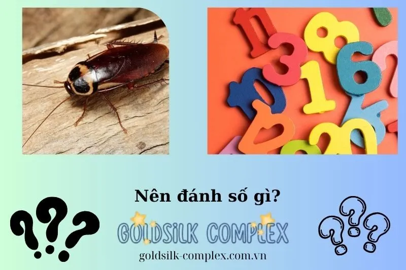 Con số may mắn liên quan đến giấc mơ thấy gián