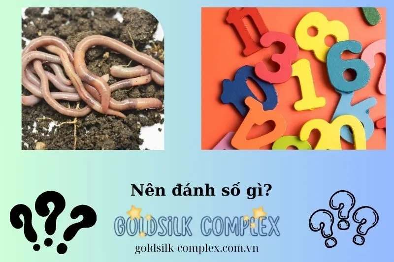 Con Số May Mắn Liên Quan Đến Giấc Mơ Thấy Giun Đất