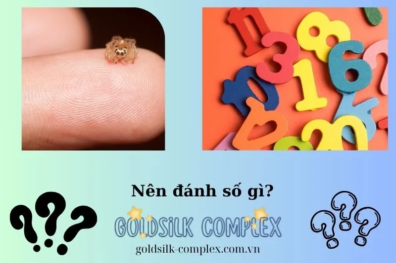 Con số may mắn liên quan đến giấc mơ thấy nhện