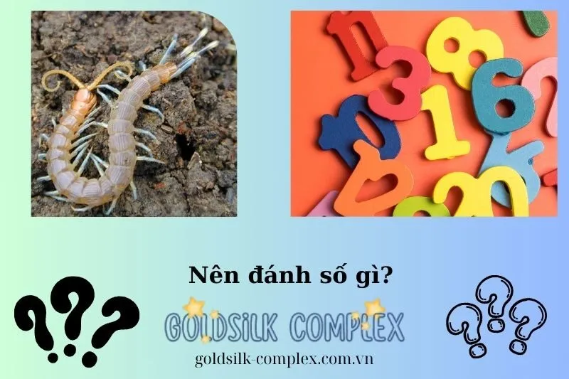 Con Số May Mắn Liên Quan Đến Giấc Mơ Thấy Rết