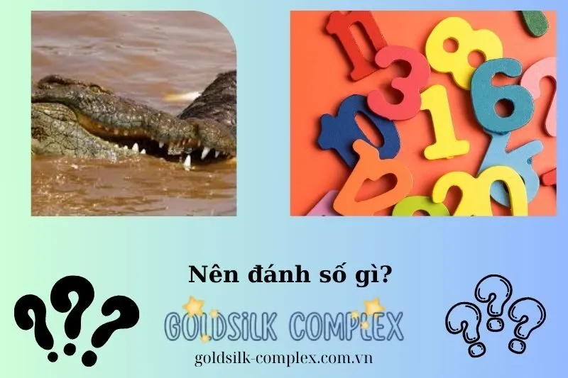 Con số may mắn liên quan khi nằm mơ thấy cá sấu