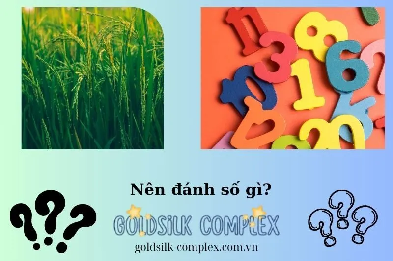 Con Số May Mắn Tương Ứng Với Các Giấc Mơ Về Lúa