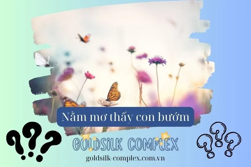 Điềm báo của từng loại giấc mơ bướm