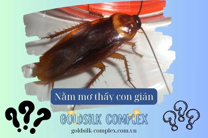 Điềm báo khi mơ thấy gián trong những bối cảnh khác nhau