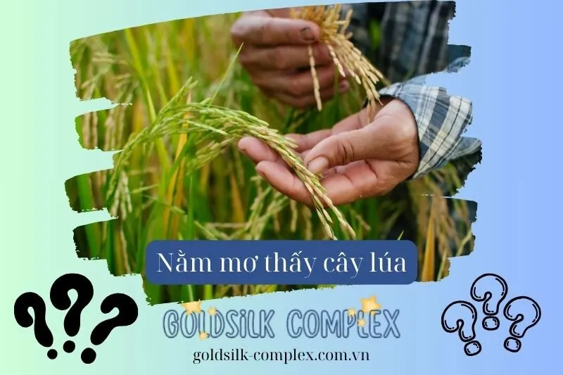 Điềm Báo Tài Lộc và Sự Nghiệp Khi Mơ Thấy Các Loại Lúa Khác Nhau