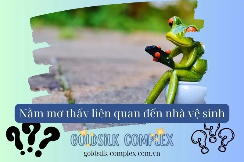 Điềm Báo Tốt Hay Xấu Khi Mơ Thấy Nhà Vệ Sinh