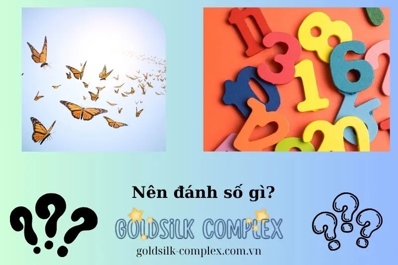 Giấc mơ thấy bướm và những con số may mắn