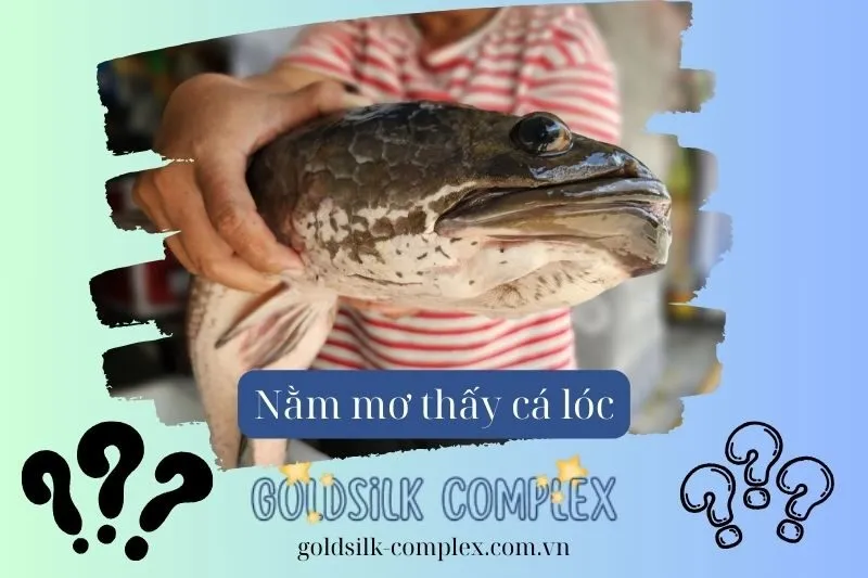 Giấc mơ thấy cá lóc liên quan đến công việc và sự nghiệp