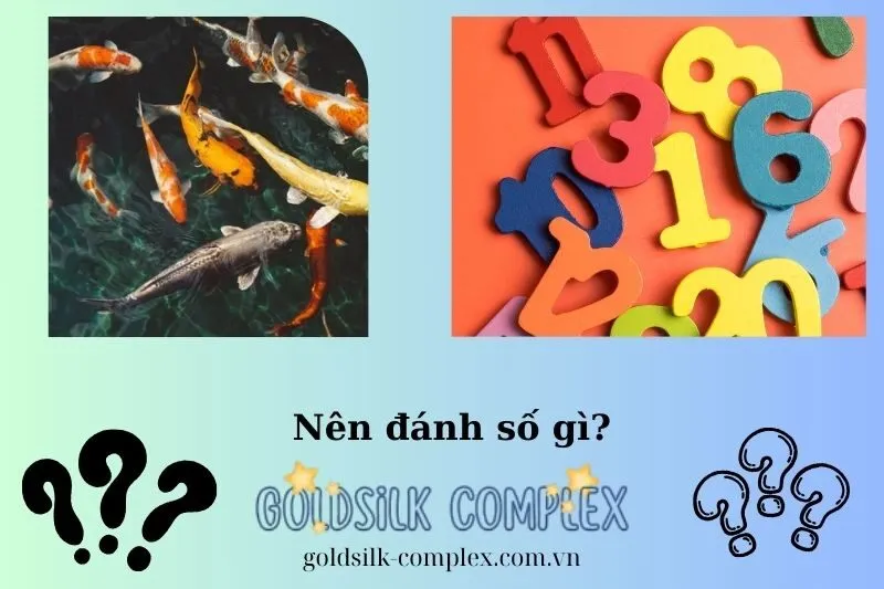 Giấc mơ thấy cá và những con số may mắn liên quan