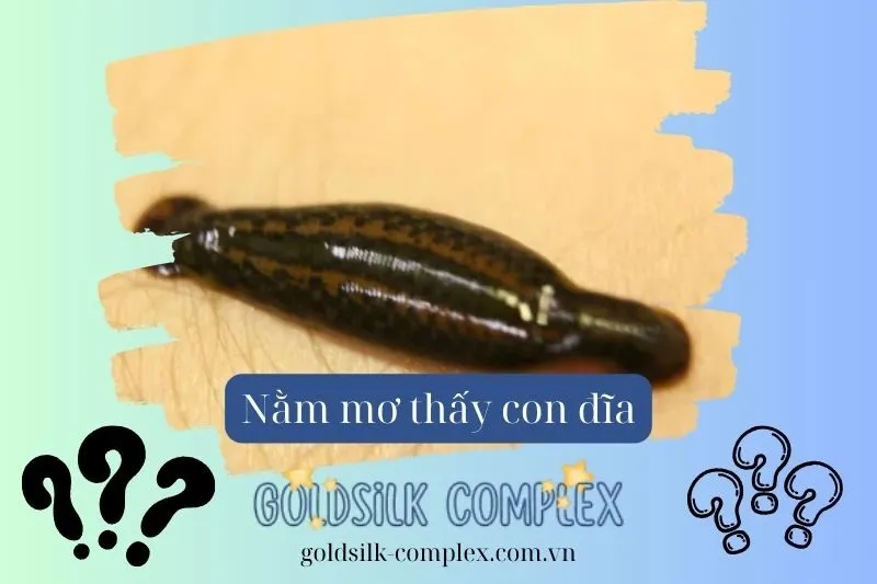 Giấc mơ thấy đỉa hút máu: Những dấu hiệu về sức khỏe bạn cần biết