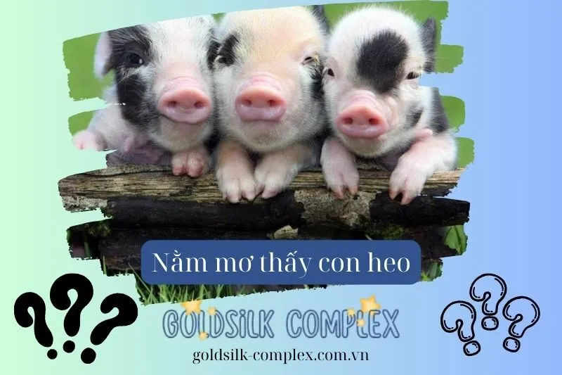 Giấc mơ thấy heo con: Tín hiệu cho sự phát triển và may mắn