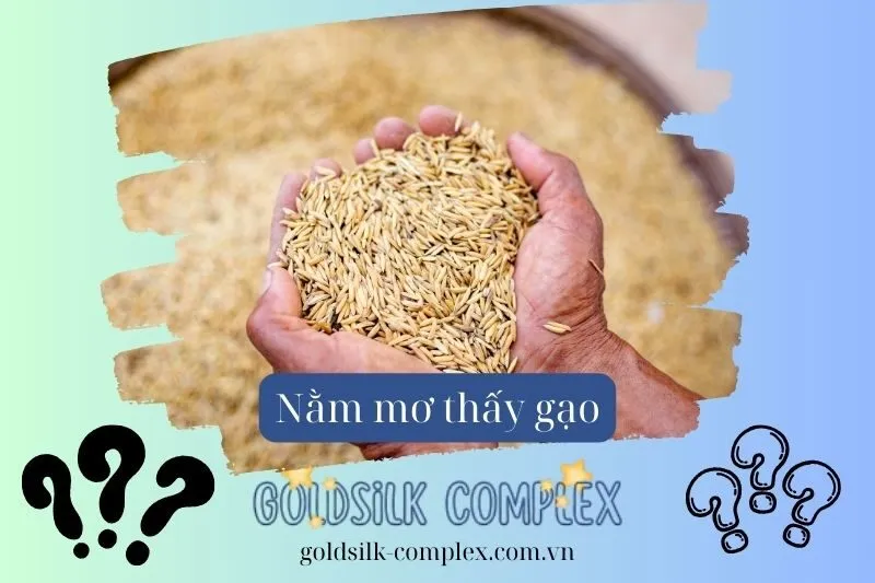 Giải mã các điềm báo tốt khi nằm mơ thấy gạo