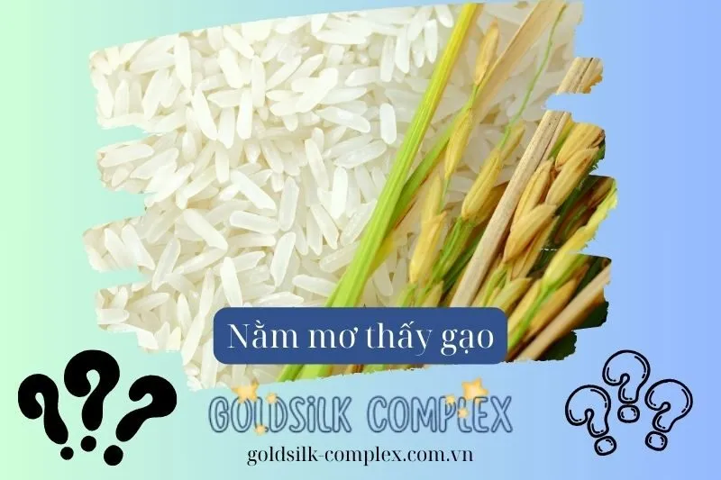 Giải mã các điềm báo xấu khi nằm mơ thấy gạo