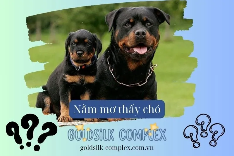 Giải mã các giấc mơ cụ thể về chó và điềm báo kèm theo