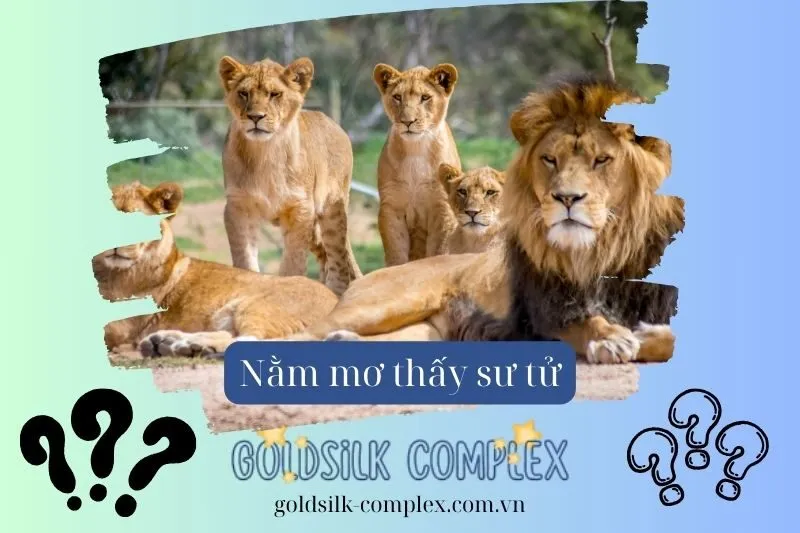 Giải mã các giấc mơ liên quan đến sư tử theo từng tình huống