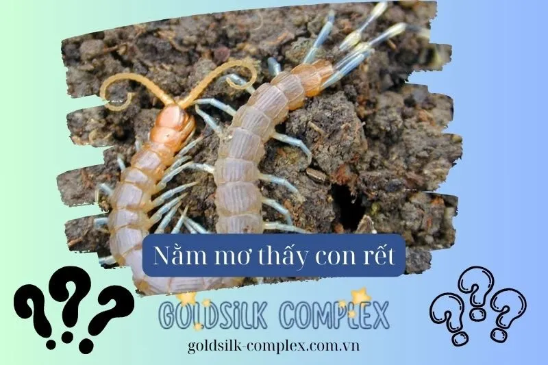 Giải Mã Các Tình Huống Cụ Thể Khi Nằm Mơ Thấy Rết