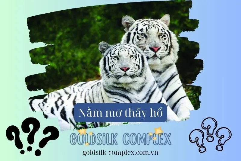 Giải mã các trường hợp nằm mơ thấy hổ phổ biến