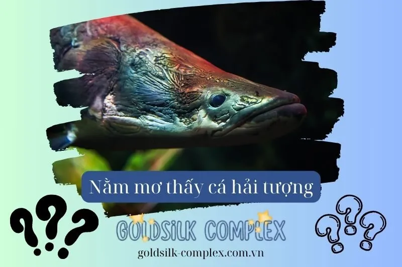 Giải Mã Chi Tiết Các Tình Huống Giấc Mơ Thấy Cá Hải Tượng