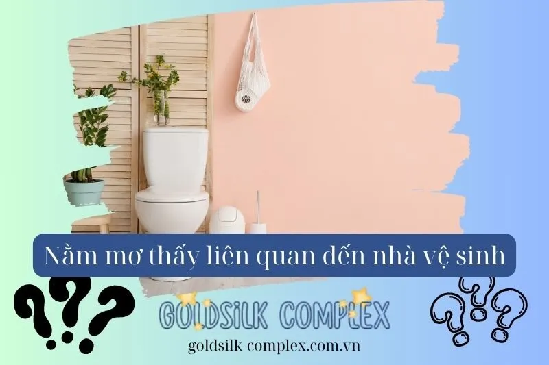 Giải Mã Chi Tiết Các Tình Huống Khi Mơ Thấy Nhà Vệ Sinh