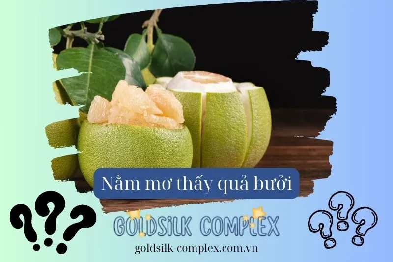 Giải Mã Chi Tiết Các Tình Huống Mơ Thấy Quả Bưởi