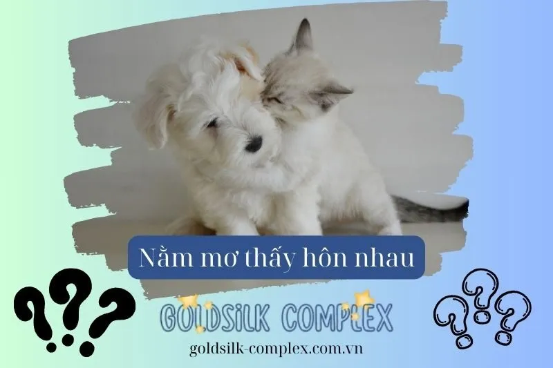 Giải mã chi tiết các tình huống thường gặp khi mơ thấy hôn người lạ