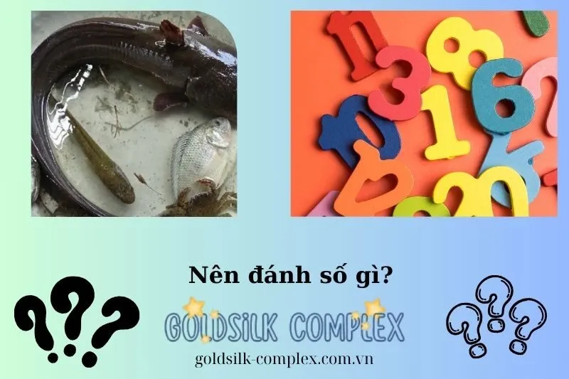 Giải mã giấc mơ nằm mơ thấy cá trê