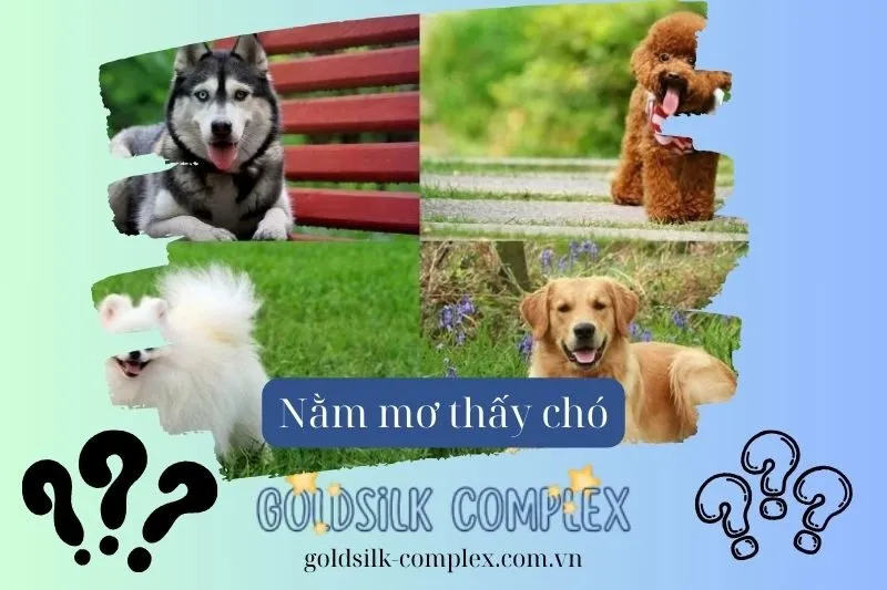 Giải mã giấc mơ: Nằm mơ thấy chó có ý nghĩa và điềm báo gì?