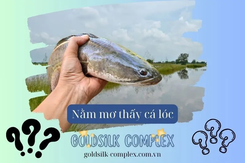 Giải mã giấc mơ thấy cá lóc: Điềm báo gì cho tương lai