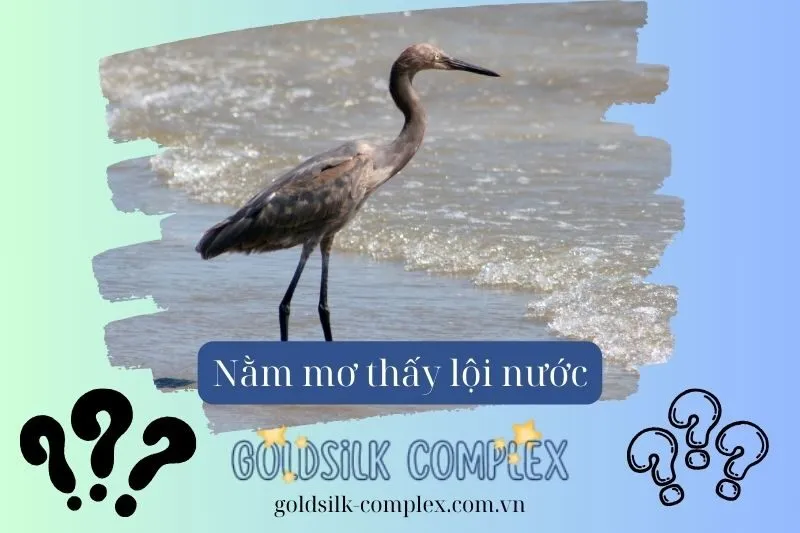 Giải mã giấc mơ thấy lội nước đục