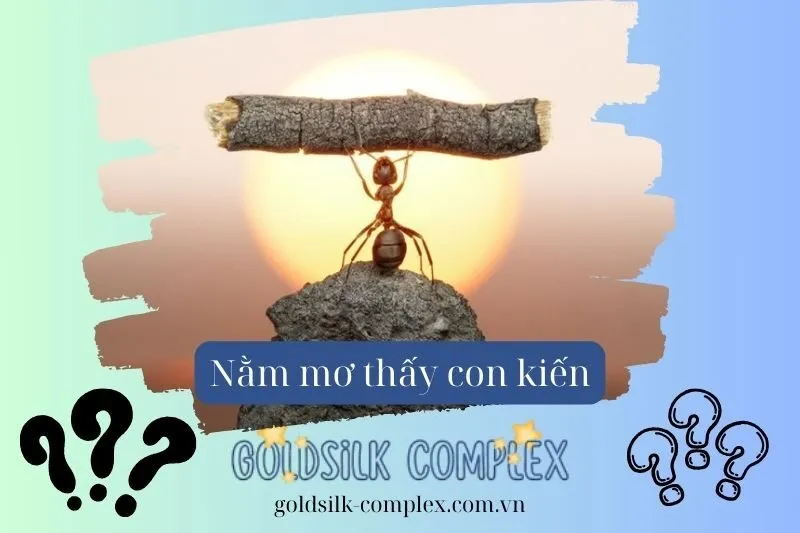 Giải mã nằm mơ thấy kiến 2025: Điềm báo, sức khỏe và con số may mắn