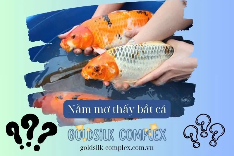 Giải Mã Ý Nghĩa Của Việc Nằm Mơ Thấy Bắt Cá